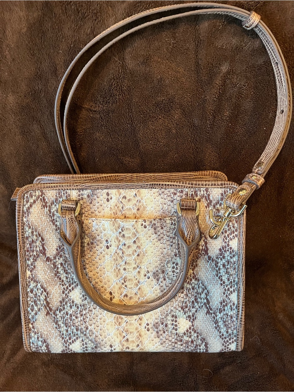 Brahmin Beige and Brown Snake-Embossed Satchel